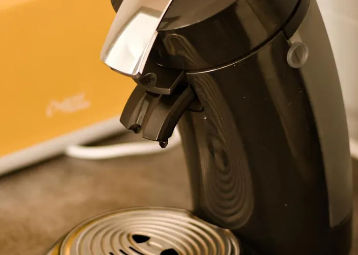 Appartement T2 lumineux et cosy idéalement situé *