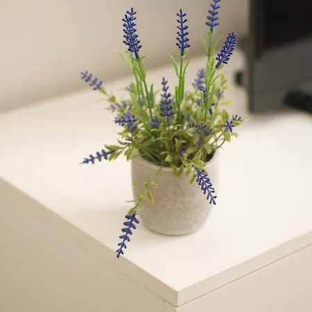 T2 Lumineux Et Cosy Idéalement Situé Apartamento Lourdes